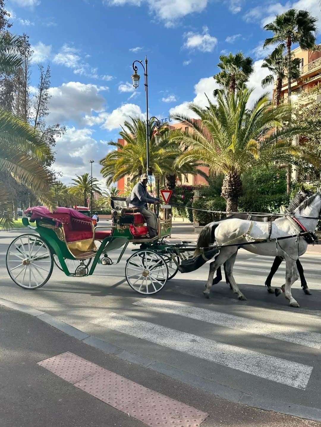Balade en calèche au cœur de Marrakech — palmiers et lumière de fin d'après-midi