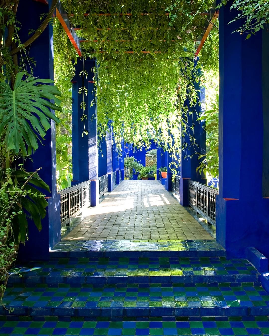 Pergola bleue et végétation luxuriante — Jardin Majorelle Marrakech